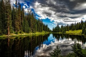 lake, conifers, clouds-1679708.jpg